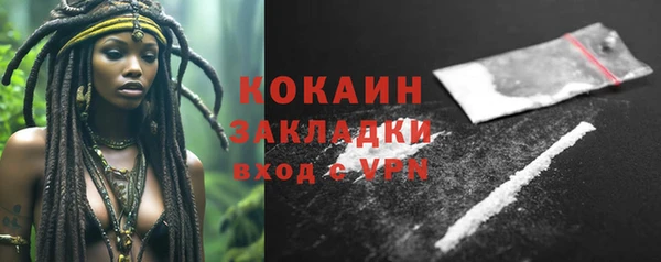 винт Пересвет