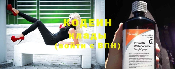 винт Пересвет