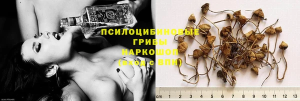 винт Пересвет