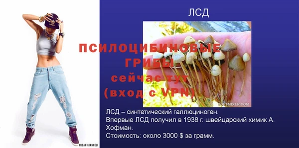 винт Пересвет