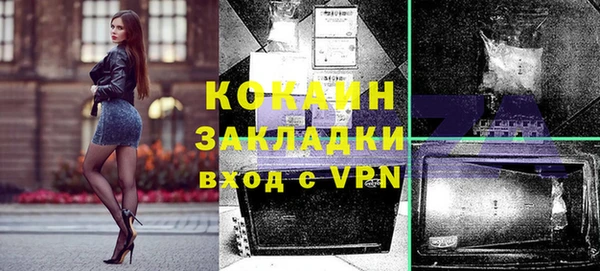 винт Пересвет