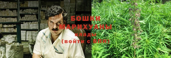 винт Пересвет
