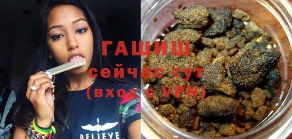 винт Пересвет