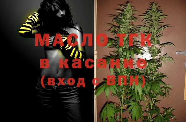 винт Пересвет
