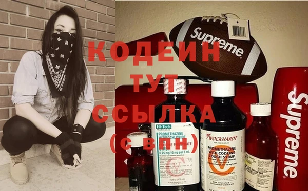 дмт Пестово