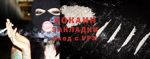дмт Пестово