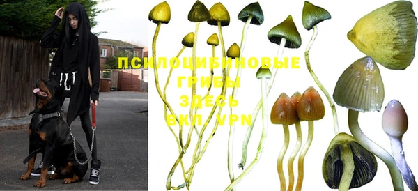 кокаин VHQ Покровск