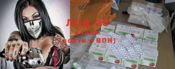 винт Пересвет