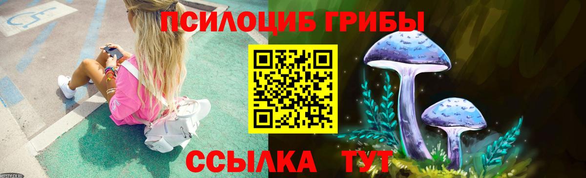 Кыштым  Галлюциногенные грибы GOLDEN TEACHER  Вход с VPN 